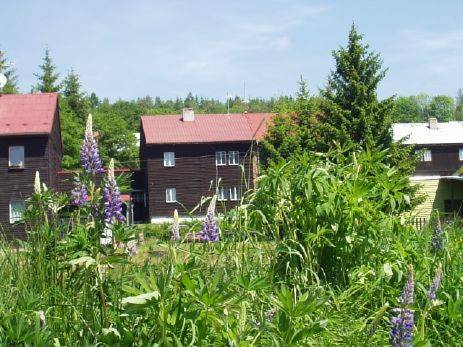 Mariánská - Jáchymov Tschechien Rabattcode Booking.com
